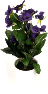 53% OFF on Flowers Forever 7 Heads Pansy Purple Assorted Artificial Flower with Pot