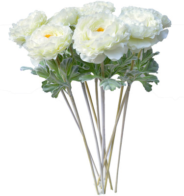 40% OFF on Ginni Bloom White Ranunculus Artificial Flower 40% OFF on Ginni Bloom White Ranunculus Artificial Flower