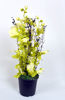 28% OFF on Ginni Bloom Green Assorted Artificial Flower with Pot 28% OFF on Ginni Bloom Green Assorted Artificial Flower with Pot