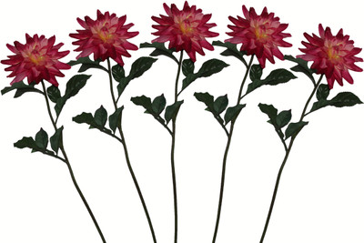 36% OFF on Pollination Single Dahlia Red Assorted Artificial Flower 36% OFF on Pollination Single Dahlia Red Assorted Artificial Flower