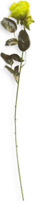 50% OFF on Jhaveri Yellow Rose Artificial Flower 50% OFF on Jhaveri Yellow Rose Artificial Flower