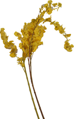 9% OFF on Fab5 Multicolor Assorted Artificial Flower 9% OFF on Fab5 Multicolor Assorted Artificial Flower