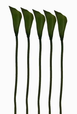 Pollination Calalily Green Lily Artificial Flower Pollination Calalily Green Lily Artificial Flower