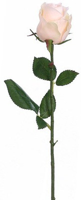 50% OFF on Amiya Garden Pink Rose Artificial Flower 50% OFF on Amiya Garden Pink Rose Artificial Flower