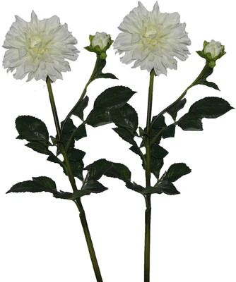51% OFF on Pollination Dahlia White Assorted Artificial Flower 51% OFF on Pollination Dahlia White Assorted Artificial Flower