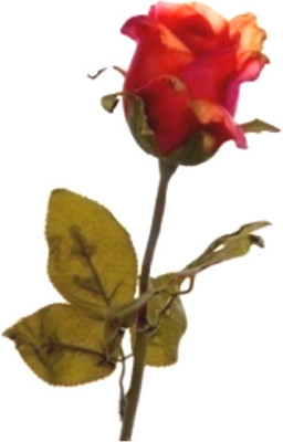 72% OFF on Flowers Forever Single Pink Rose Artificial Flower