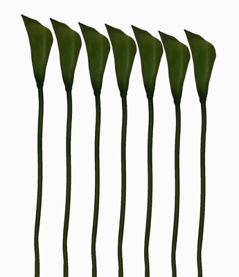 36% OFF on Pollination Calalily Green Lily Artificial Flower 36% OFF on Pollination Calalily Green Lily Artificial Flower