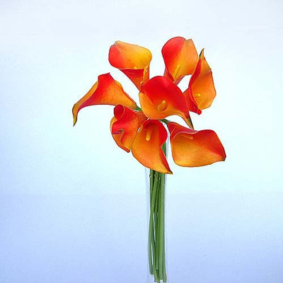60% OFF on Amiya Garden Orange Lily Artificial Flower 60% OFF on Amiya Garden Orange Lily Artificial Flower