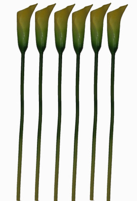35% OFF on Pollination Calalily Yellow Lily Artificial Flower 35% OFF on Pollination Calalily Yellow Lily Artificial Flower