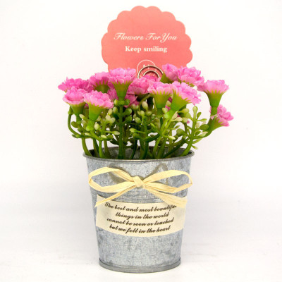 30% OFF on Giftease Urban Chakkar Tin Vase Pink Rose Artificial Flower with Pot 30% OFF on Giftease Urban Chakkar Tin Vase Pink Rose Artificial Flower with Pot