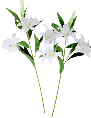 26% OFF on VCK White Lily Artificial Flower 26% OFF on VCK White Lily Artificial Flower