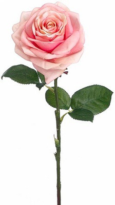 50% OFF on Amiya Garden Pink Rose Artificial Flower 50% OFF on Amiya Garden Pink Rose Artificial Flower