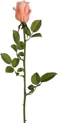 50% OFF on Amiya Garden Pink Rose Artificial Flower 50% OFF on Amiya Garden Pink Rose Artificial Flower