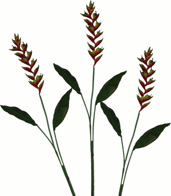 51% OFF on Pollination Heliconia Red Assorted Artificial Flower 51% OFF on Pollination Heliconia Red Assorted Artificial Flower