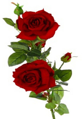 53% OFF on Flowers Forever 6 Heads Velvet Red Rose Artificial Flower