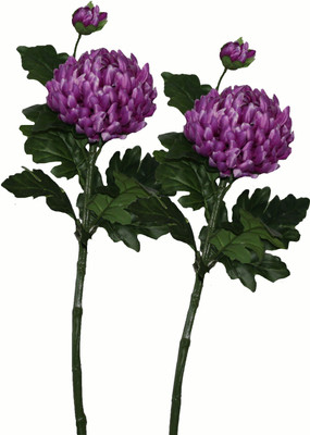 50% OFF on Pollination Crysanthimum Purple Assorted Artificial Flower 50% OFF on Pollination Crysanthimum Purple Assorted Artificial Flower