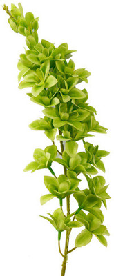 40% OFF on Gifts By Meeta Green Orchids Artificial Flower