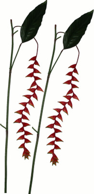 51% OFF on Pollination Heliconia Red Assorted Artificial Flower 51% OFF on Pollination Heliconia Red Assorted Artificial Flower