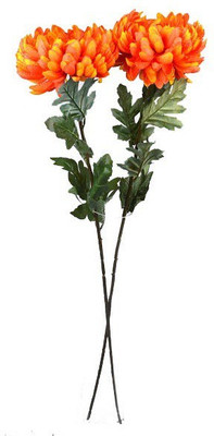 40% OFF on Amiya Garden Orange, Yellow Assorted Artificial Flower 40% OFF on Amiya Garden Orange, Yellow Assorted Artificial Flower