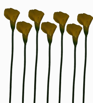 50% OFF on Pollination Calalily Yellow Lily Artificial Flower 50% OFF on Pollination Calalily Yellow Lily Artificial Flower