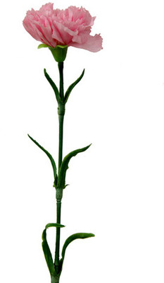 40% OFF on Gifts By Meeta Pink Carnations Artificial Flower