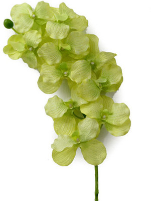 40% OFF on Gifts By Meeta Green Assorted Artificial Flower 40% OFF on Gifts By Meeta Green Assorted Artificial Flower