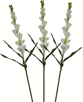 51% OFF on Pollination Tuberose White Rose Artificial Flower 51% OFF on Pollination Tuberose White Rose Artificial Flower