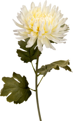 59% OFF on Flowers Forever Single Mum White Assorted Artificial Flower