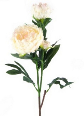 53% OFF on Flowers Forever 3 Heads White Peony Artificial Flower