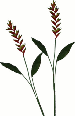 50% OFF on Pollination Heliconia Red Assorted Artificial Flower 50% OFF on Pollination Heliconia Red Assorted Artificial Flower