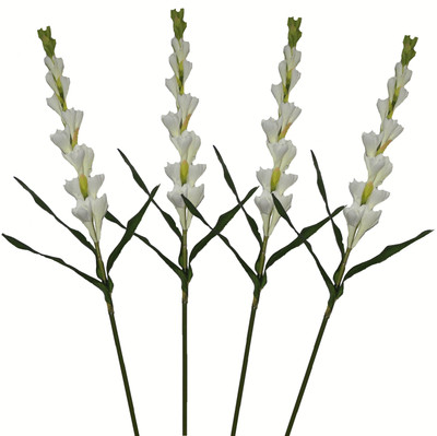 50% OFF on Pollination Tuberose White Rose Artificial Flower 50% OFF on Pollination Tuberose White Rose Artificial Flower