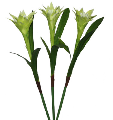 55% OFF on PolliNation PROTEA Green Assorted Artificial Flower 55% OFF on PolliNation PROTEA Green Assorted Artificial Flower