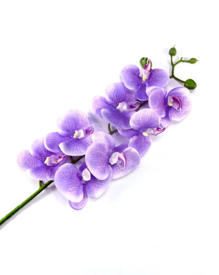 Importwala.com Blue Hibiscus Artificial Flower Importwala.com Blue Hibiscus Artificial Flower