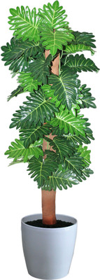 22% OFF on Green Era Wild Plant Artificial Plant