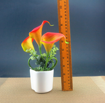 10% OFF on Importwala Mini Calla Lily Arrangement with Heart-Shaped Ceramic Pot Assorted Artificial Plant with Pot 10% OFF on Importwala Mini Calla Lily Arrangement with Heart-Shaped Ceramic Pot Assorted Artificial Plant with Pot