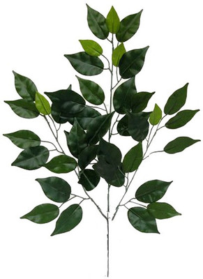 35% OFF on E-Plant Assorted Artificial Plant 35% OFF on E-Plant Assorted Artificial Plant