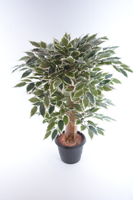 Kusal Assorted Artificial Plant with Pot Kusal Assorted Artificial Plant with Pot