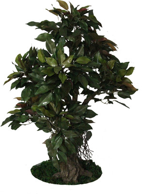 42% OFF on Pollination Capensia Ficus Assorted Artificial Plant 42% OFF on Pollination Capensia Ficus Assorted Artificial Plant