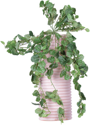 55% OFF on Evergreen Wild Plant Artificial Plant 55% OFF on Evergreen Wild Plant Artificial Plant