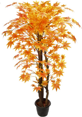 Kusal 2 orange maple Wild Plant Artificial Plant with Pot Kusal 2 orange maple Wild Plant Artificial Plant with Pot