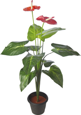 Kusal 3 anthurium tree Wild Plant Artificial Plant with Pot Kusal 3 anthurium tree Wild Plant Artificial Plant with Pot
