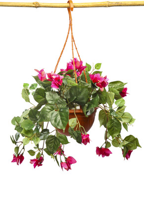15% OFF on Kusal Assorted Artificial Plant with Pot 15% OFF on Kusal Assorted Artificial Plant with Pot