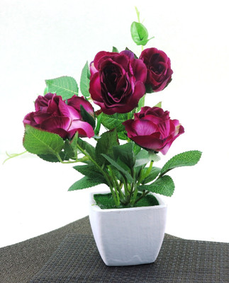 9% OFF on Importwala Flower With Trendy Ceramic Pot Assorted Artificial Plant with Pot 9% OFF on Importwala Flower With Trendy Ceramic Pot Assorted Artificial Plant with Pot