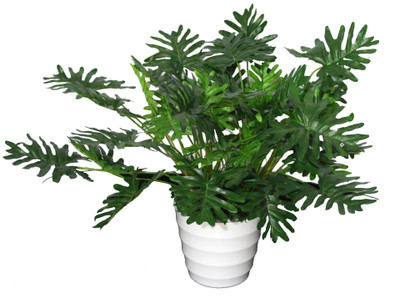 56% OFF on PolliNation Green Split Philo With Pot Assorted Artificial Plant with Pot 56% OFF on PolliNation Green Split Philo With Pot Assorted Artificial Plant with Pot