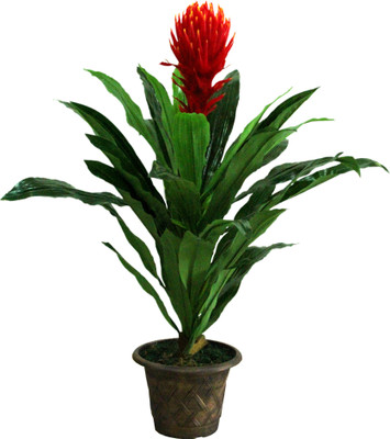20% OFF on Green Era Wild Plant Artificial Plant