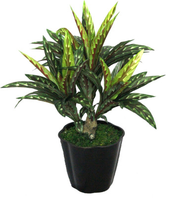 53% OFF on PolliNation Yellow Dracana with Pot Wild Plant Artificial Plant with Pot