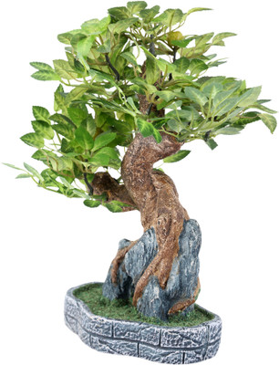 60% OFF on JB Collection Bonsai Wild Plant Artificial Plant with Pot 30 cm, Green 60% OFF on JB Collection Bonsai Wild Plant Artificial Plant with Pot 30 cm, Green
