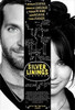 Silver Linings Playbook: Av Media