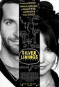 Silver Linings Playbook: Av Media
