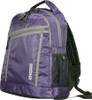 American Tourister Backpack